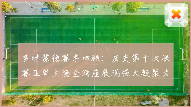 多特蒙德赛季回顾：历史第十次联赛亚军主场全满座展现强大凝聚力