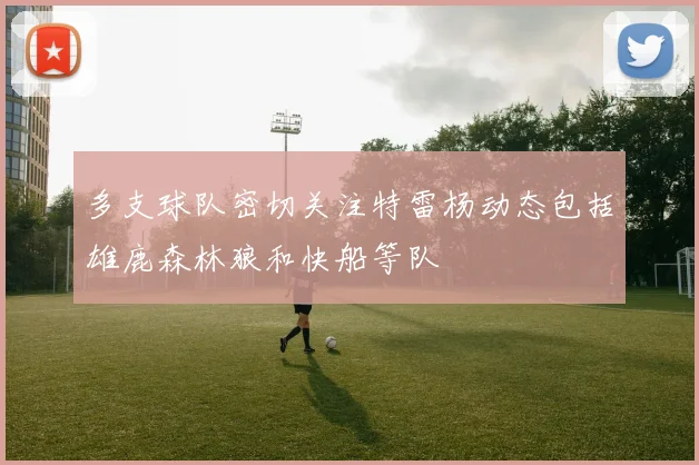 多支球队密切关注特雷杨动态包括雄鹿森林狼和快船等队